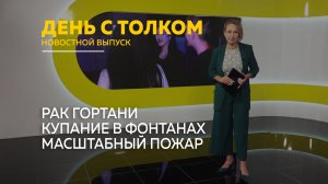 День с Толком 04.06.2026