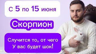 Скорпион - 5-15 июня. Таро. Все шло к этому!