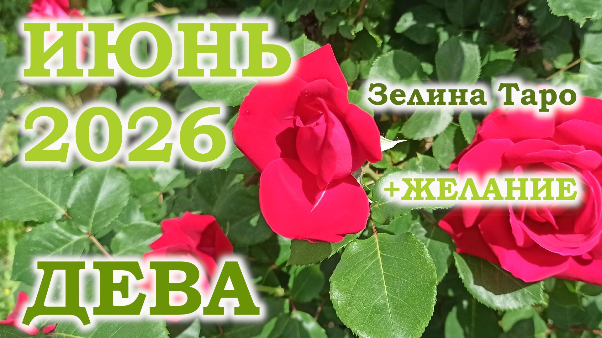 ДЕВА | ТАРО прогноз на ИЮНЬ 2026 года | Желание | Расклад таро смотреть онлайн