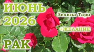 РАК | ТАРО прогноз на ИЮНЬ 2026 года | Желание | Расклад таро