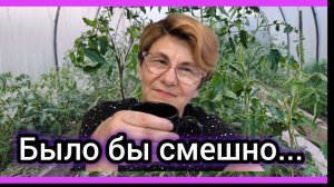 Моя теплица - МОЯ ЗОНА КОМФОРТА!😎💁♀️