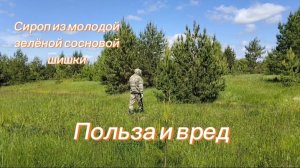Сироп из молодой сосновой шишки. Польза и вред. Заканчиваю сезон. #86