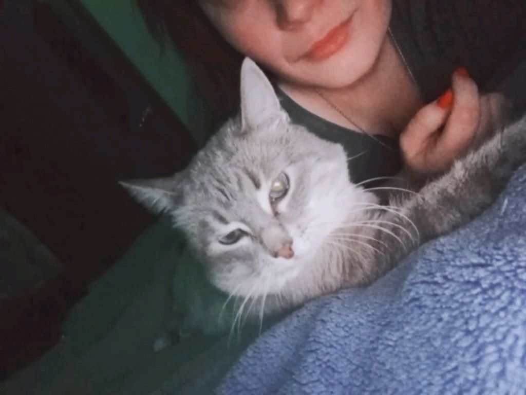 утро) смотреть онлайн