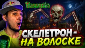 TERRARIA - СКЕЛЕТРОН