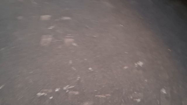 Тополиный пух выпал во дворе ленинского 66 снято примерно 21:28 для сми видио без звука.