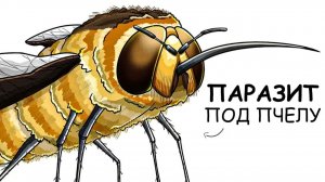 Ты – Жужжало (И ЭТО ВСЯ ТВОЯ ЖИЗНЬ)