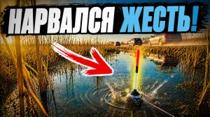 Карась в РУЧЬЕ пошёл ДУРНИНОЙ! ЗАКИНУЛ В КАМЫШ И НАЧАЛОСЬ! Рыбалка на поплавок 2026