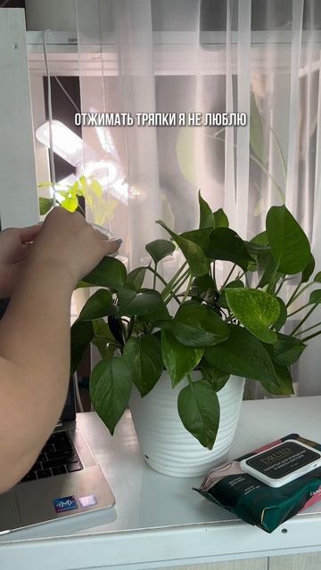 Это находка для ленивых