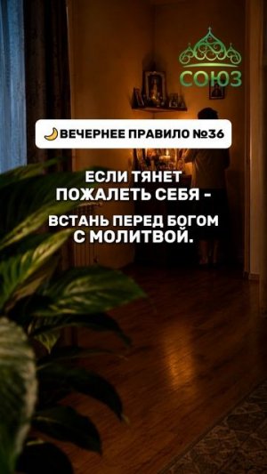 Вечернее правило №36