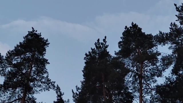 Я МОЛЧУ КАК РЫБКА ОБ ЛЁД А ВЫ СЛУШАЙТЕ смотреть онлайн