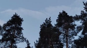Я МОЛЧУ КАК РЫБКА ОБ ЛЁД А ВЫ СЛУШАЙТЕ