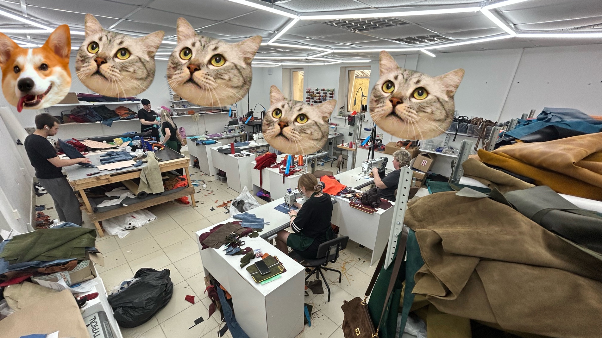 Швейный цех кота Базилио смотреть онлайн