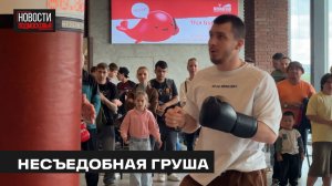 Турнир «Ударная среда» прошёл в Мытищах
