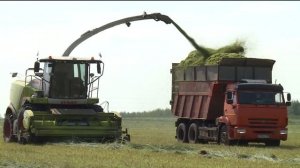Башҡортостанда сираттағы кампания - «Йәшел ураҡ«ҡа старт бирелә