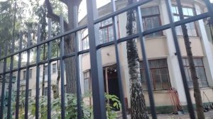 Старинный детский сад за забором. Огромные тополя. Советская архитектура.