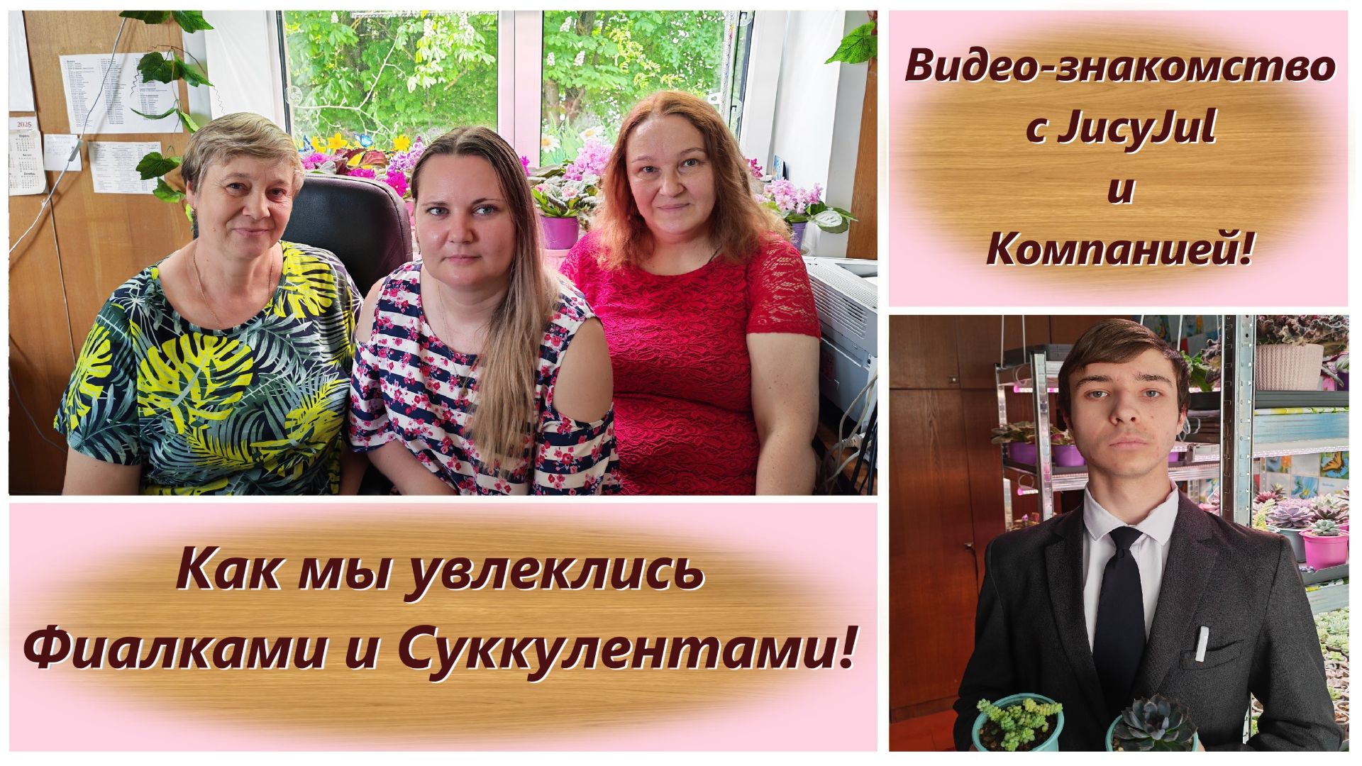 Как мы увлеклись Фиалками и Суккулентами! Видео-знакомство с JucyJul и Компанией! смотреть онлайн