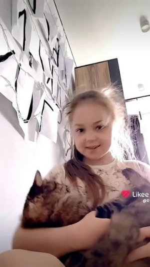 это моя кошка