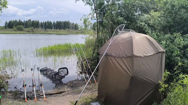 рыбалка на карпа