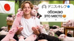 Парадеевич Проверяет Самые Странные Развлечения Японцев!