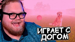 T2x2 ИГРАЕТ в Take Care of Your Dog // СТРАШНЫЙ ПОДВАЛ