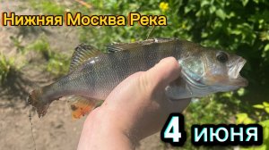 Рыбалка Нижняя Москва - река l Спиннинг l Отводной поводок
