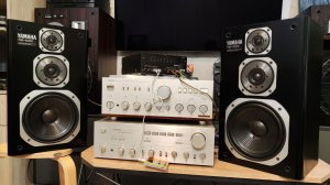 Yamaha ns 100X
