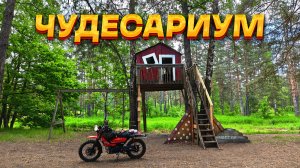 G-Moto Cross X. Чудесариум, река Нерская и лесное эндуро