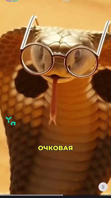 кто ты ?