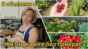 Жизнь на ЮГЕ без прикрас🌞 Я объявляю войну!
