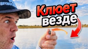 Она выкосит ВЕСЬ водоем! Рыбалка в Астрахани на спиннинг