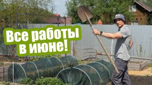 Работы в саду и огороде в июне