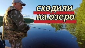 Сходили на озеро, подровняли ивы. 31.05.2026