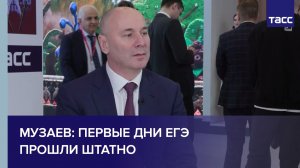 Музаев: первые дни ЕГЭ прошли штатно