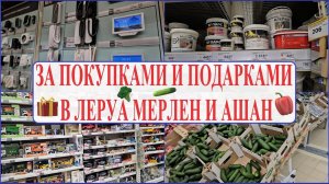 Закупка продуктов в Ашане. Закупка в Леруа. Мерлен Выбираем домофон, краску, подарки. Почему дешёво?