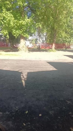 трансляция