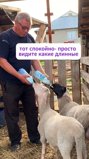 УЖЕ 3 МЕСЯЦА! 😱 А они всё соску просят... ПОРА ОТВЫКАТЬ!