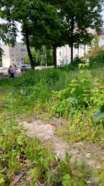 В лагере смотреть онлайн