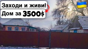 🇺🇦 Заходи и живи! Дом в селе за 3500$ Продажа недвижимости за копейки! Всё есть Уютное тихое село!