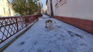 Один из дней города Евпатории | 23 декабря 2021 год | Крым ХАН БАТОН XAH 6ATOH | VID_20211223_150842