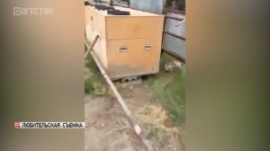Очередную подпольную ферму по добыче криптовалюты обнаружили в Унцукульском районе