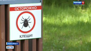 Роспотребнадзор предупредил новосибирцев об опасности клещей в парках