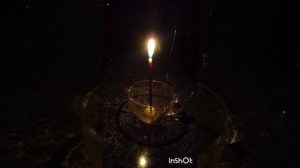 Волосы больше не выпадают..