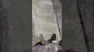 моя жизнь