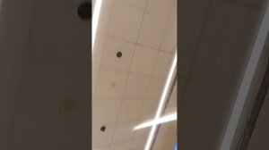 2989.mp4
