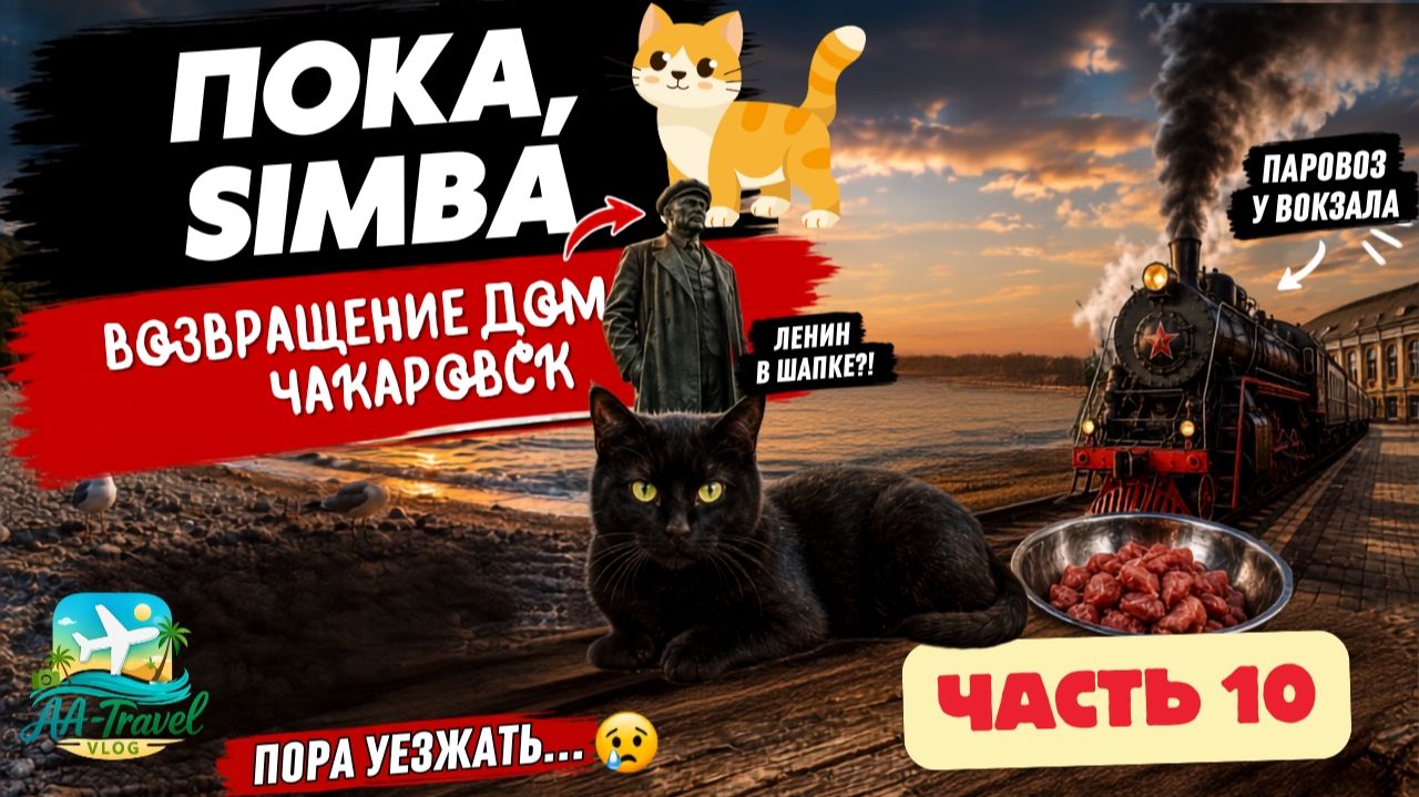 ПУТЕШЕСТВИЕ В РОССИЮ И КИТАЙ 2025 🇷🇺🇨🇳 | Part 10 | Обратно в Хабаровск #russia#travel #love #cat