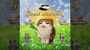🎤🐱