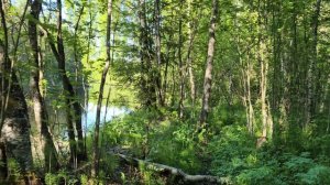 От шумного города после работы, отдыхаем