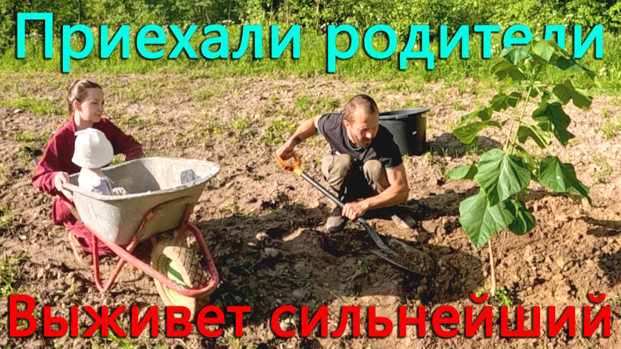 Сделали уголок агрессоров. Выживет сильнейший. Итоги конкурса стаканчиков. Приехали родители. смотреть онлайн