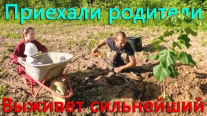 Сделали уголок агрессоров. Выживет сильнейший. Итоги конкурса стаканчиков. Приехали родители.