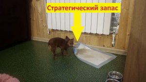 Стратегический запас